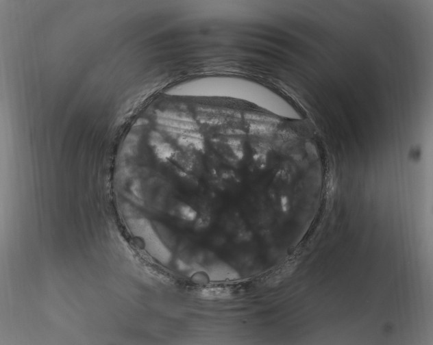 X0000116120353200912211658
