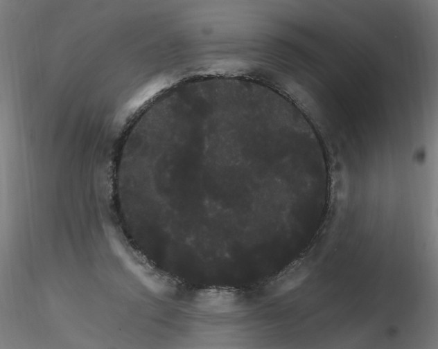 X0000116120354200912211658