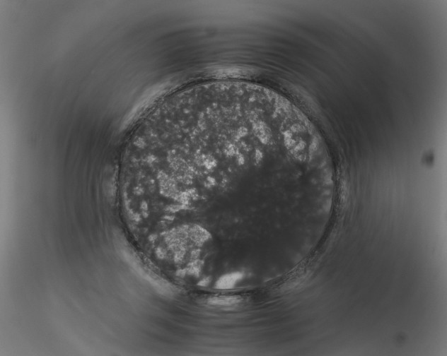 X0000116120357200912211659