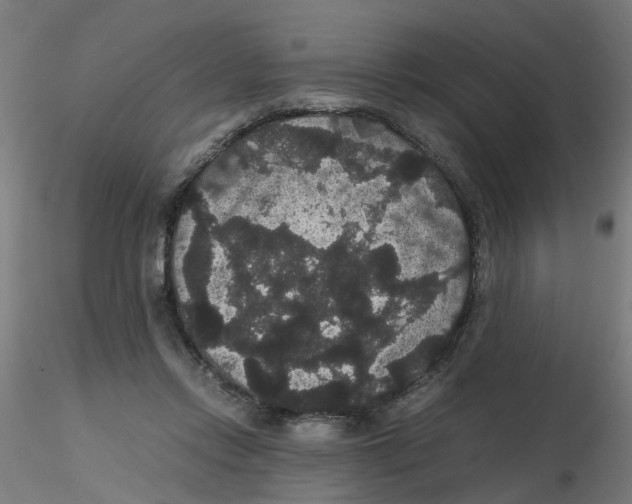 X0000116120358200912211659