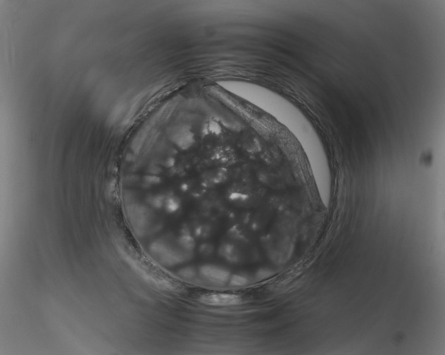 X0000116120361200912211659