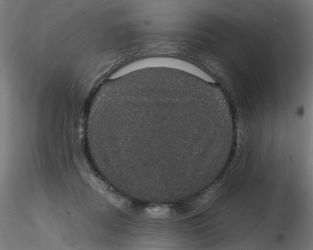 X0000116120362200912211659