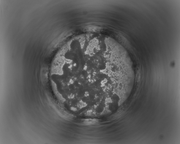 X0000116120363200912211659