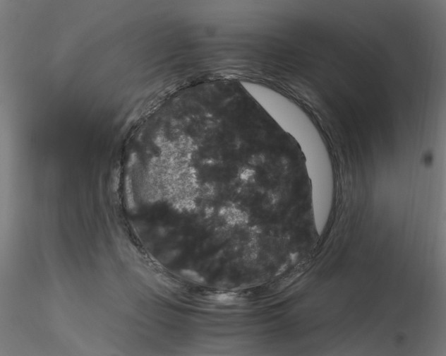 X0000116120365200912211659