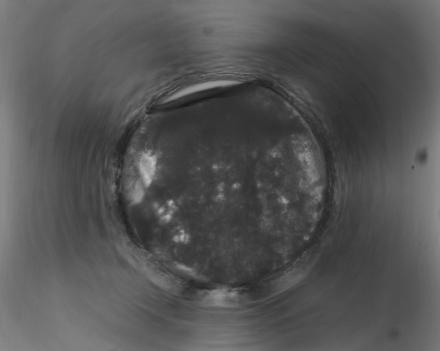 X0000116120366200912211659