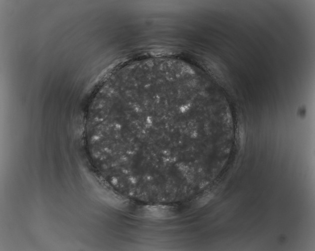 X0000116120367200912211659