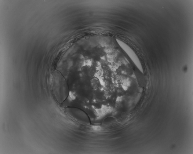 X0000116120371200912211659