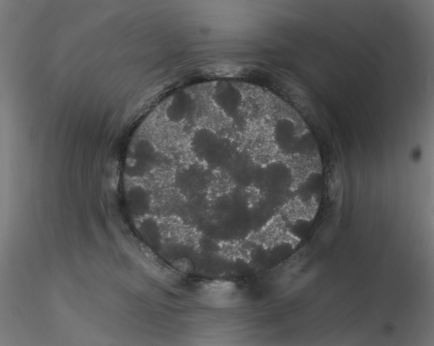 X0000116120374200912211659