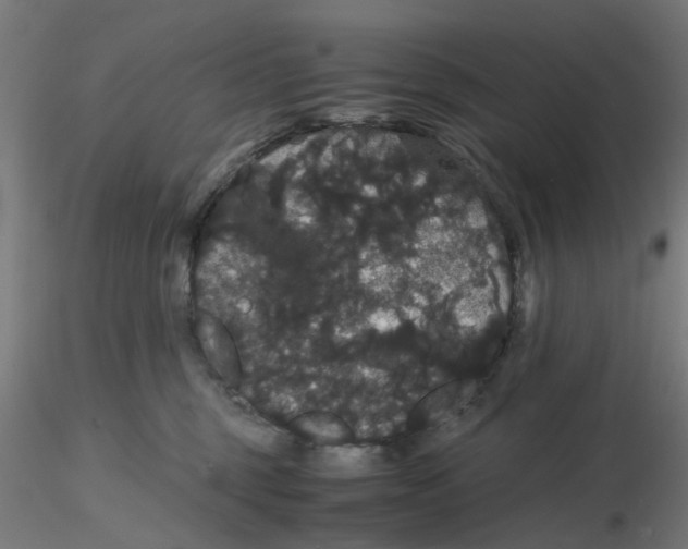 X0000116120375200912211659