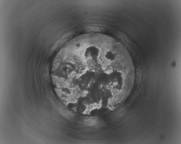 X0000116120377200912211659
