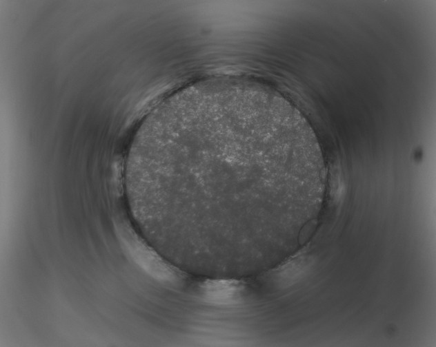 X0000116120378200912211659