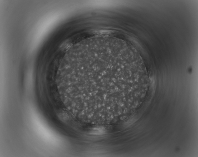 X0000116120381200912211659