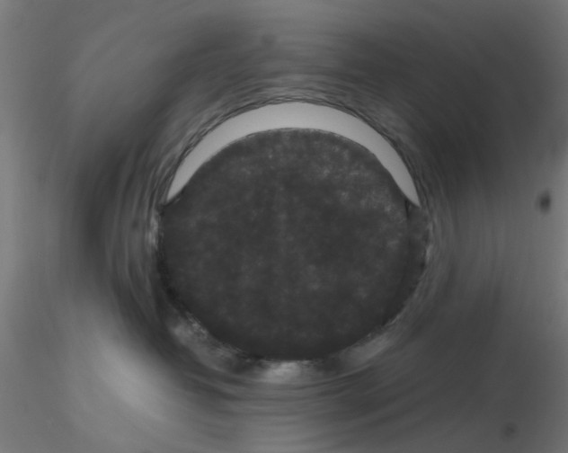 X0000116120382200912211659