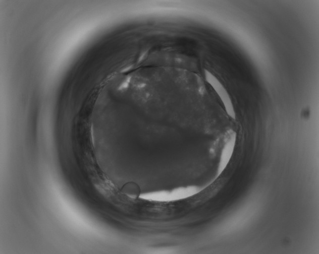 X0000116120383200912211659