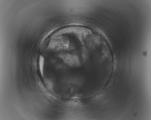 X0000116120386200912211658