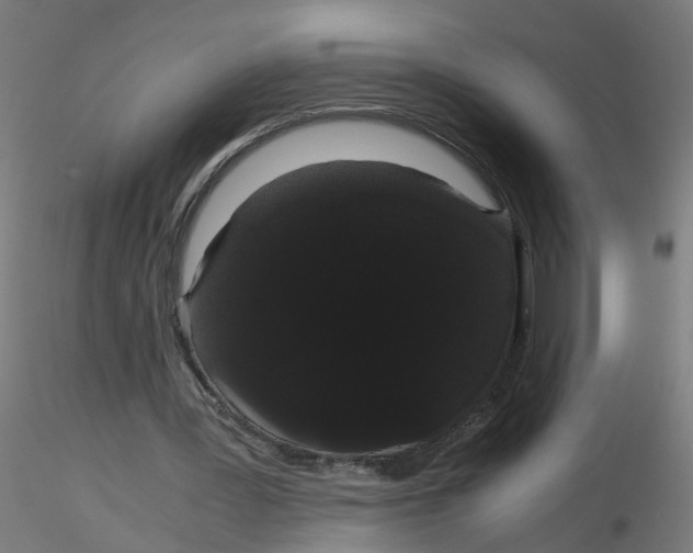 X0000116120387200912211658