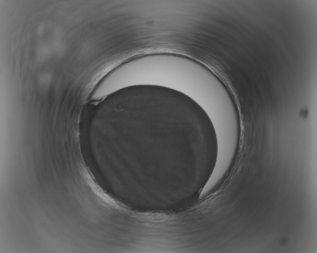 X0000116120389200912211658