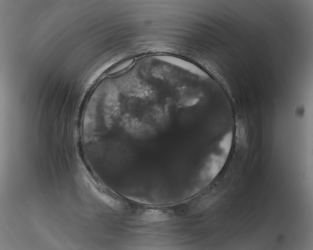 X0000116120390200912211658