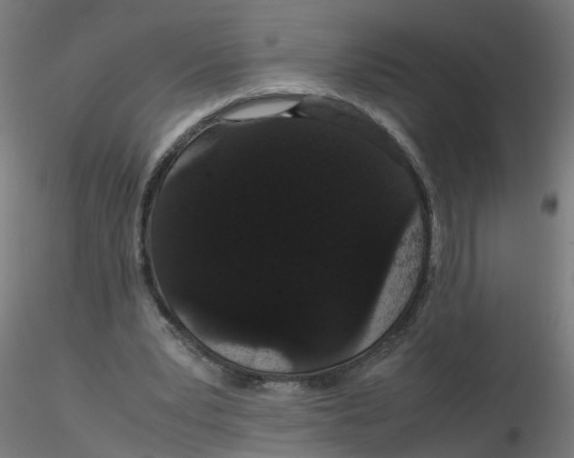 X0000116120391200912211658