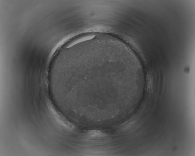 X0000116120392200912211658