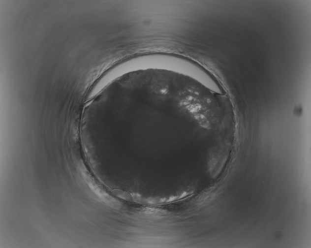 X0000116120393200912211658