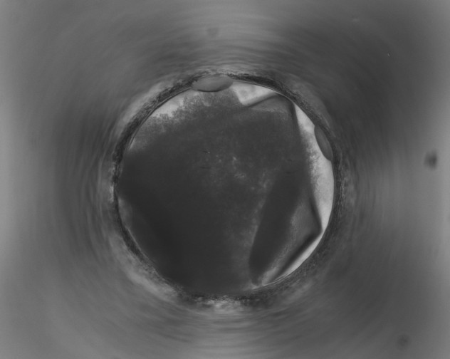 X0000116120395200912211658