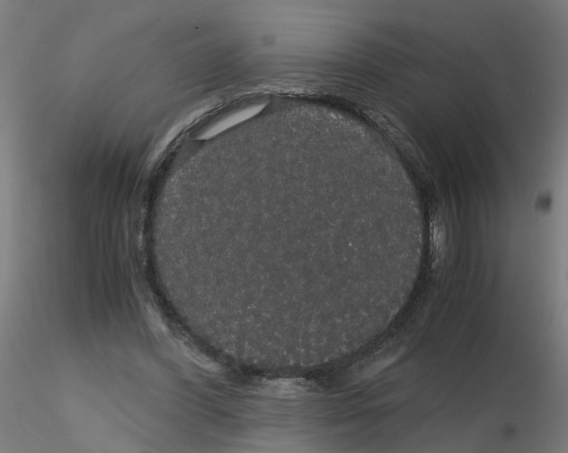 X0000116120396200912211658