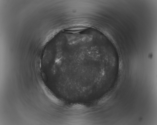 X0000116120397200912211658