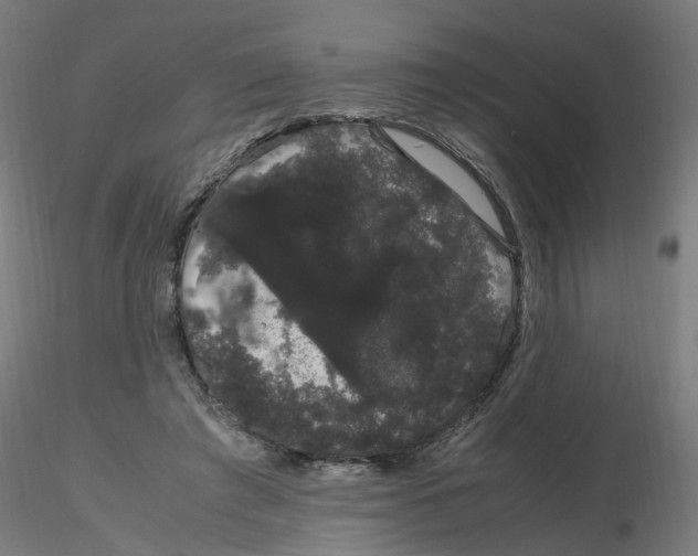 X0000116120401200912211658