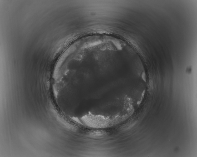 X0000116120402200912211658