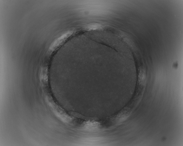 X0000116120403200912211658