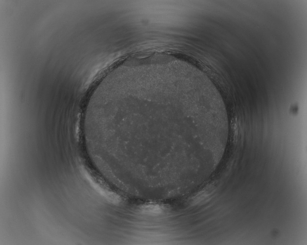 X0000116120404200912211658