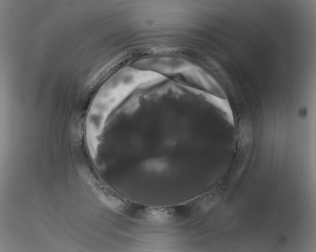 X0000116120405200912211658