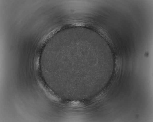 X0000116120406200912211658