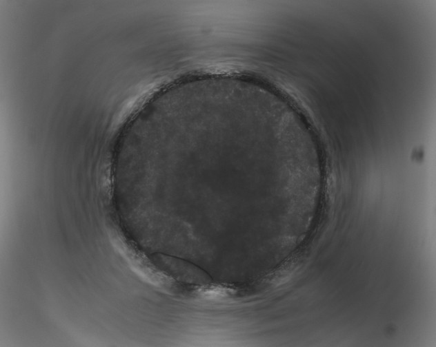 X0000116120407200912211658