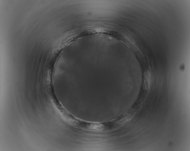 X0000116120410200912211658