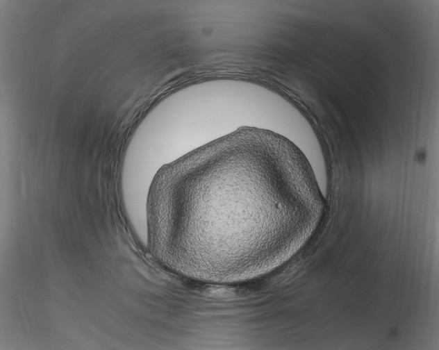 X0000116120413200912211658