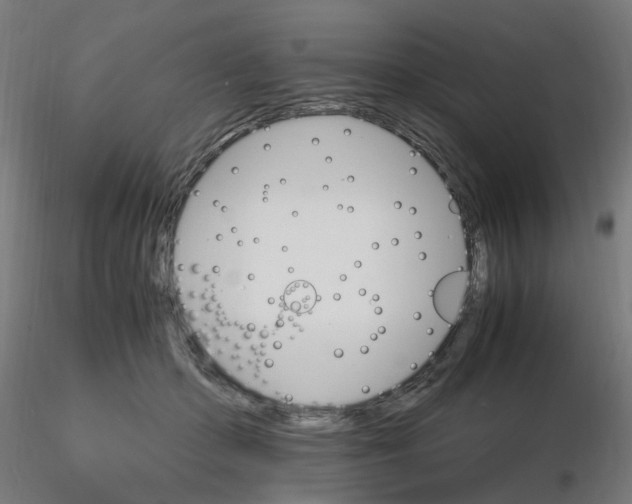 X0000116120414200912211658
