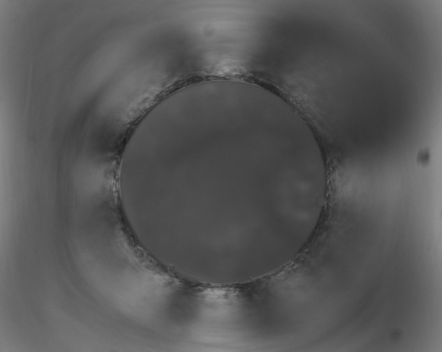 X0000116120415200912211658