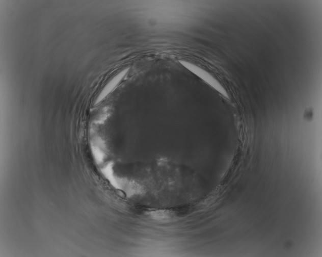 X0000116120417200912211658