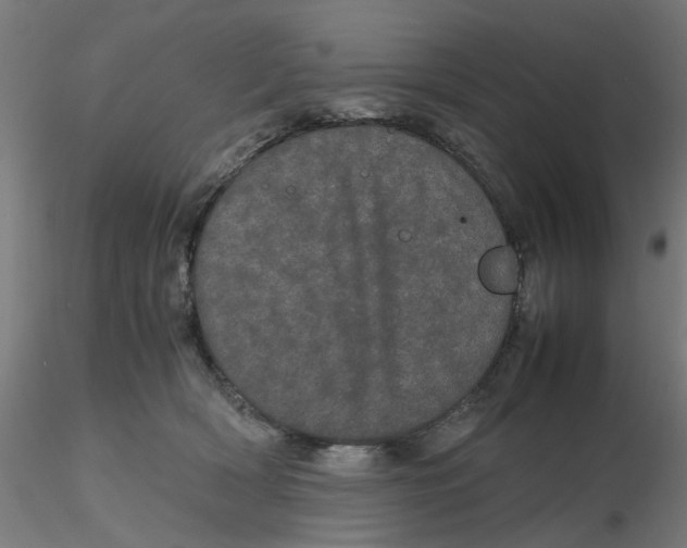 X0000116120418200912211658