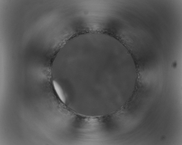 X0000116120419200912211658