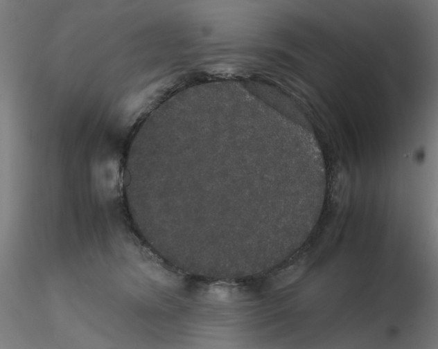 X0000116120420200912211658