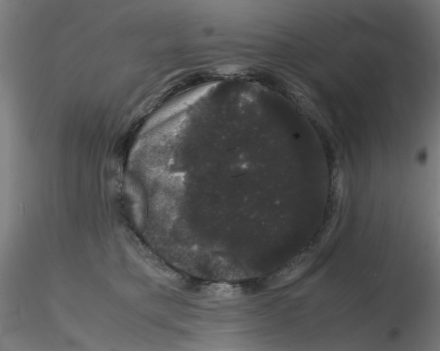 X0000116120421200912211658