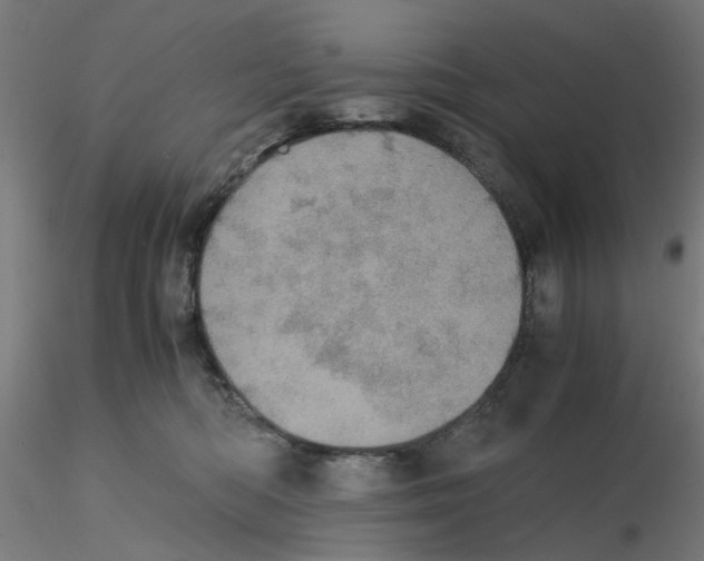 X0000116120422200912211658