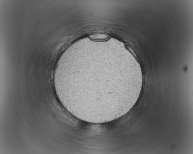 X0000116120423200912211658
