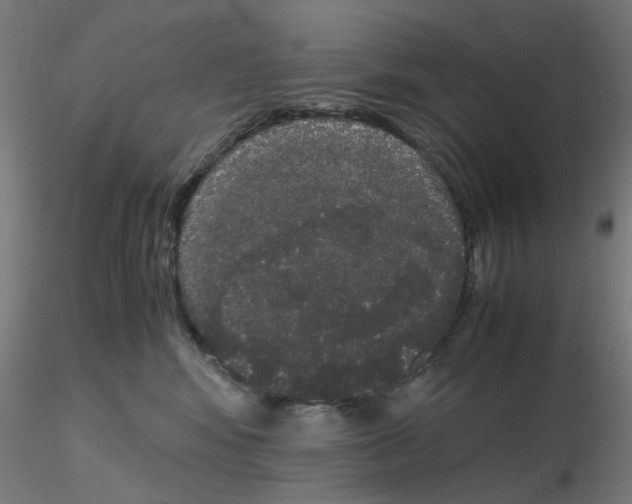 X0000116120424200912211658