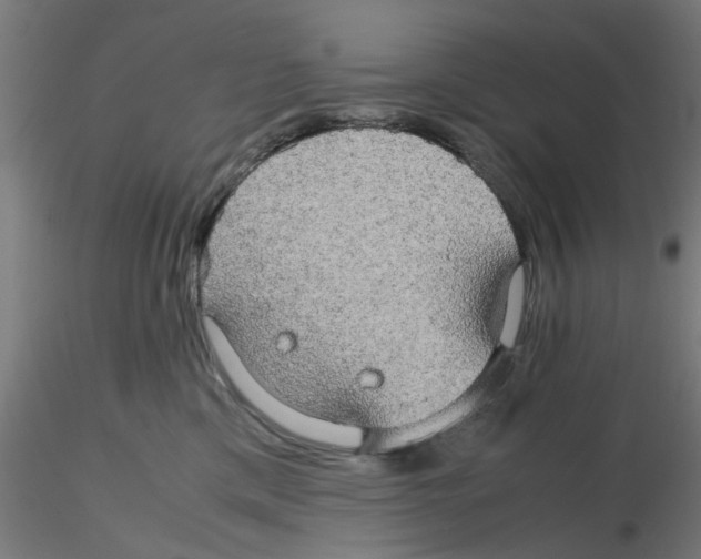 X0000116120425200912211658
