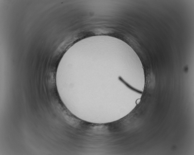 X0000116120426200912211658