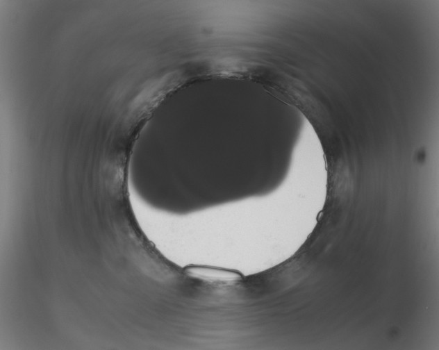 X0000116120427200912211658